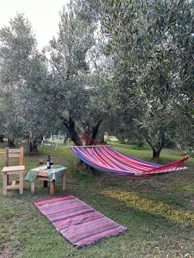 Green Olive Studios 2 Agios Mamas  Eksteriør bilde